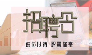 服務(wù)商戶，致力發(fā)展—安徽分公司合肥濱湖店攜手優(yōu)質(zhì)商戶人才招聘會(huì) 